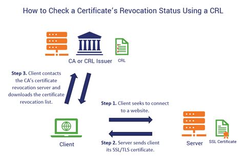 asianpinay.to certificate revocation status